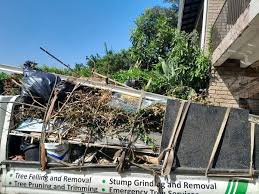 Nederland, CO Junk Removal Services Company