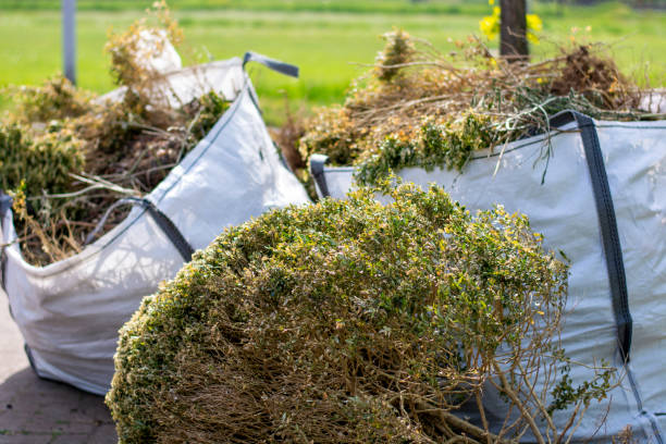 Best Hoarding Cleanup  in Nederland, CO